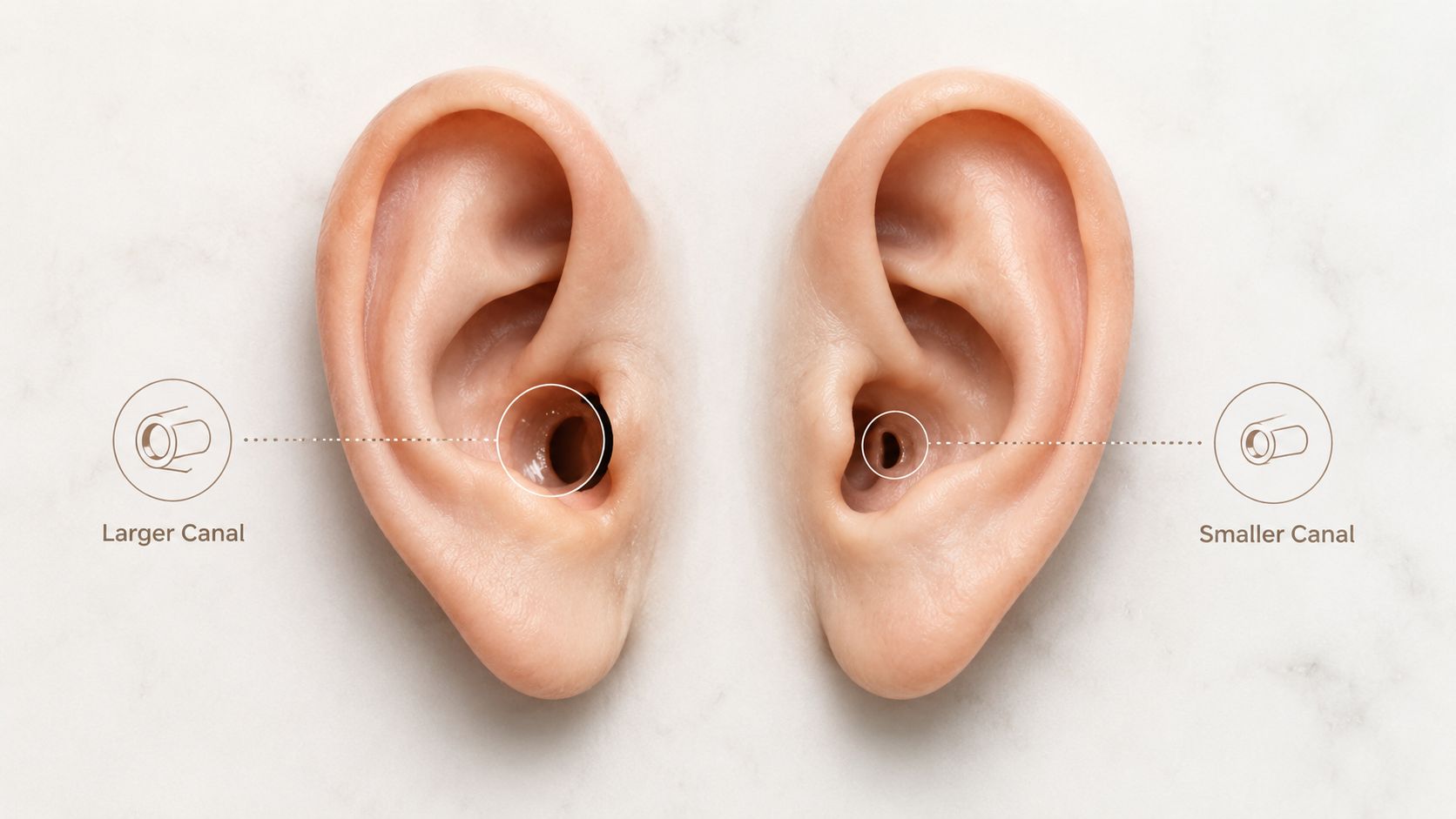 A diagram comparing two human ears showing a larger ear canal and a smaller ear canal size.